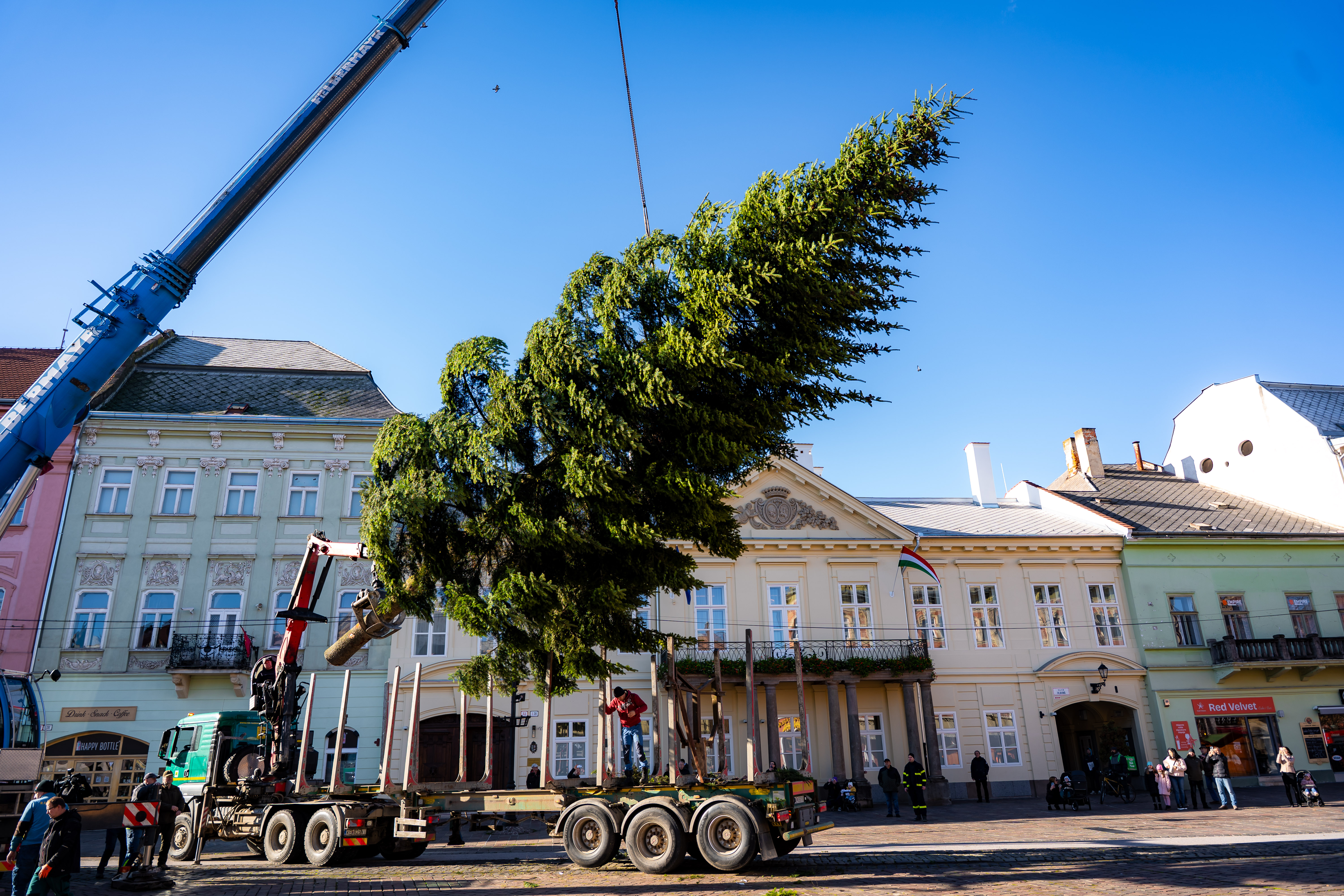 Umiestnovanie Vianocneho stromu-17